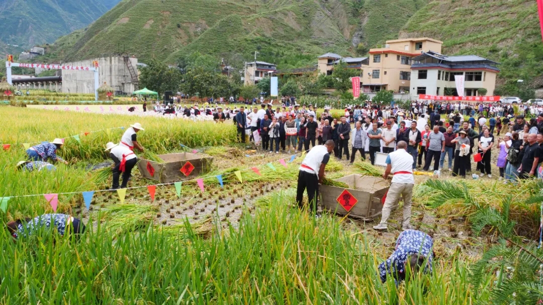 甘肃文县：《白马盛典》沉浸式体验与丰收节喜悦交融