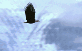 公司动态报告：业绩稳健凉山矿业注入在即